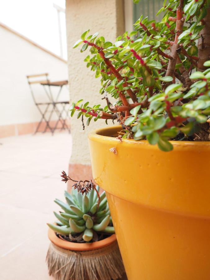 Apartaments La Rambla - Espero De Bolos - 4 Pers Cornudella de Montsant Εξωτερικό φωτογραφία